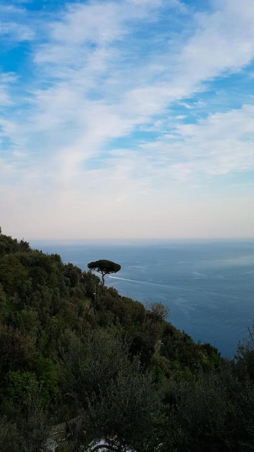 Yourhome - Relais Casa Degli Angeli Positano Dış mekan fotoğraf